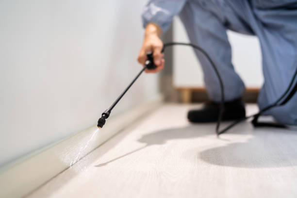 Licensed Cockroach Control service in Long Beach, CA - Nex Pest Control