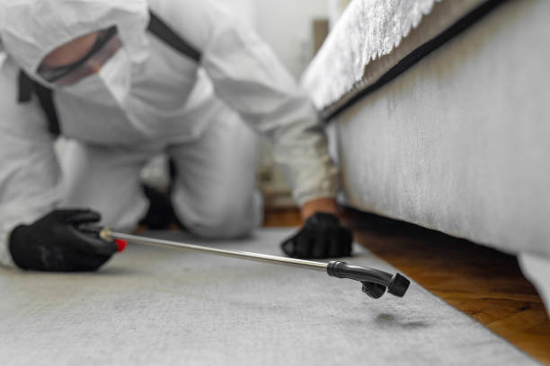 Professional Cockroach Control technician working in Long Beach, CA